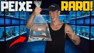 Comprando PEIXES na Tailândia!
