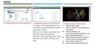 MOE Molecular Docking:A Step-by-Step Tutorial for Beginners