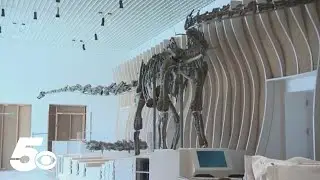 New dinosaur species found in Utah
