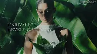 Damac Couture by Cavalli