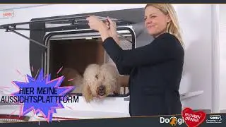 SOMA Camp Dogi - Der erste Wohnwagen/Camper mit Dogi-Home