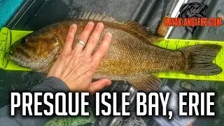 Bass on the Bay - Presque Isle Bay, Erie - May 14th 2016