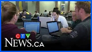 College Boreal joins AI education program