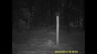 Trail camera LTL Acorn 5210 A