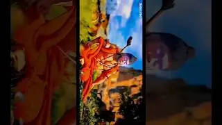 Jay Hanuman shorts #viralvideo #love #trending #ram #shortvideo #Hanuman2024 #viral