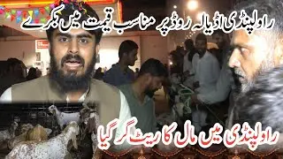 Exploring Rawalpindi&rsquo;s Bakra Mandi &ndash; A Complete Guide & Market Tour with malik Farooq