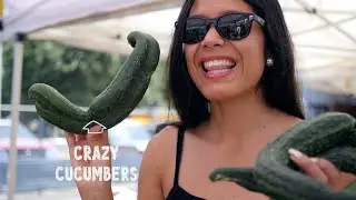 Farmers' Markets: Fresh Produce & Great Deals!
