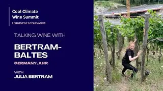 Weingut Bertram-Baltes (Germany, Ahr) - Cool Climate Wine Summit Exhibitor Interviews