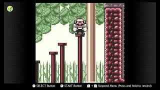Wario Land 3 Gameplay 03 Swimming Power Up and Beating Flying Fox Boss