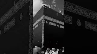 Exploring the Beauty of Surah Al-Ikhlas #shorts #islamicknowledge #quranicreflections #viral