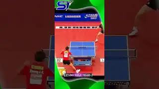Nice Points ZHANG JIKE #卓球の試合 #탁구 경기 #스포츠 #pingpong #tabletennis #shorts