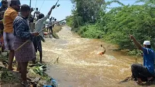 बाढ़ में खतरनाक Fishing 😱 | So Many Fishermen in Action!