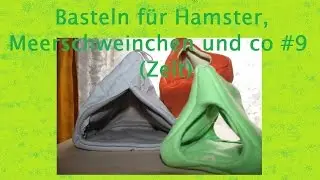 DIY Basteln für Hamster, Meerschweinchen und co. #10 Zelt