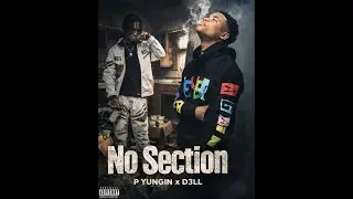 [FREE] P Yungin x BWay Yungy x JayDaYoungan Type Beat &ndash; &ldquo;No Sections&rdquo; | Trill Trap