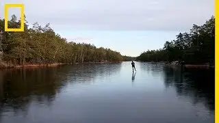 Le bruit particulier du patinage nordique
