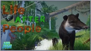 Life After People - Ruined High Rises |Planet Zoo|