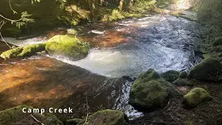 (4K UHD) SILENT SCENERY - Camp Creek @ Camp Creek Campground! | Mount Hood National Forest | Oregon