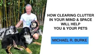 How Clearing Clutter in Your Mind & Space will Help You & Your Pets