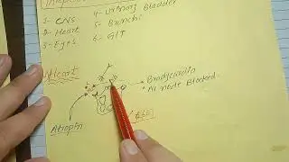 Threpetic Uses of Cholinergic Antagonist drugs part 1# in urdu/ Hindi