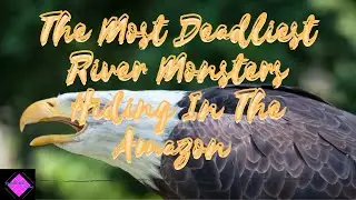 The Most Deadliest River Monsters Hiding In The Amazon || Charlie Siaton