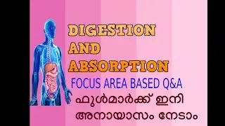 FOCUS AREA BASED MODEL QUESTIONS -PLUS ONE - CHAPTER 5-DIGESTION AND ABSORPTION