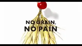 Are Oats Safe on a Gluten Free Diet?