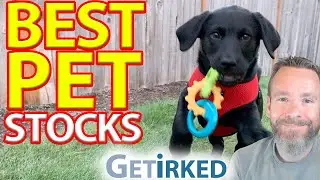 The Best Pet Stocks to Buy Right Now: CL, CHWY, GIS, MRK, IDXX, SJM, TSCO, WOOF, ZTS?