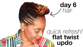 How to Refresh Twisted Updo | Protective Style Maintenance | askpRoy