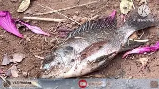 890. Về Thủ đô- Xem câu cá hồ giữa phố...