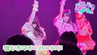 逆転ねこぱんちっ！『信じろマイ・ハート！』“てんねこ×あたぱち東京大遠征”1日目 📍新宿Biske 🗓2026.02.02