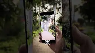 Battle of the Blurs: Samsung S25 Ultra Camera Stabilization Test!