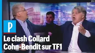 &laquo; Ordure ! &raquo; : Gilbert Collard et Daniel Cohn-Bendit s'insultent en direct sur TF1