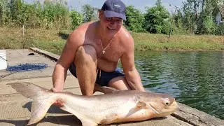 Unique fishing  am feeder | Big fish | Best fishing videos | Thailand Pattaya