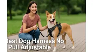 🐶 Шлейка для собак PetSafe Easy Walk No-Pull | Лучшая шлейка для собак с регулировкой No-Pull 🐶