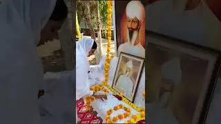 Meharvan #short #basantmela #satgurudalipsinghji