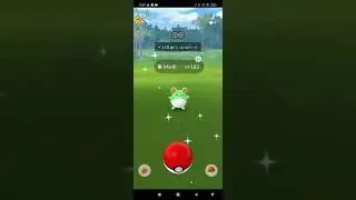 shiny maril ✨✨✨ on the maril limited research tasks