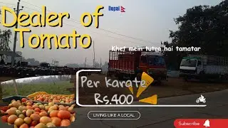 Moto Vlog || Tomato unloaded to Dealer || Rate huwa Down || in Hindi || Nepal 🇳🇵 || Move2Finish