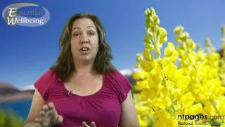Essential Wellbeing (Sydney) - Energy Healer and Massage Therapist Marama Carmichael