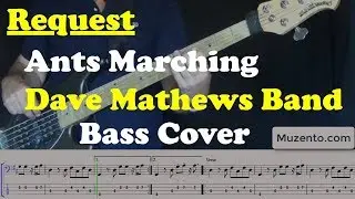 Ants Marching - Bass Cover - Request