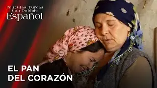 Los Juegos Que Jug&oacute; Se Volvieron En Su Contra | La Prueba De Mi Suegra