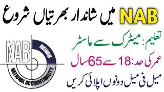 National Accountability Bureau NAB Jobs 2023 | How to apply in NAB