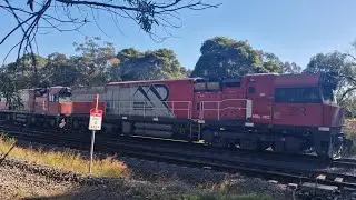 11/06/25 Aurizon LDL Train D258 passing Marlene Reserve Greenacre