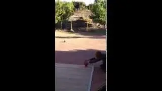 Zack Ferris Kicking w/ new Goal