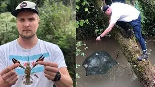 Catch and Cook: Crayfish in the UK