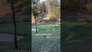 Позвоните боссу, я заболел! #backyardgolfcourse #rydercup2025