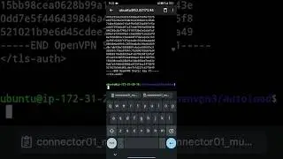set cloudconnexa openvpn remote login to start automatically  for #server whenever server reboots