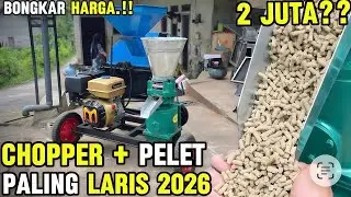Bongkar Harga Mesin Chopper + Pelet Terlaris 2026 | Cuma 2 Jutaan?