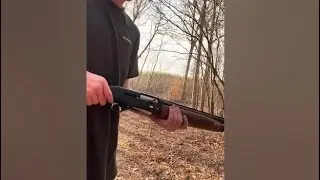 Savage Stevens 560 12ga полуавтоматический