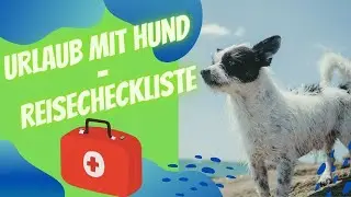 Urlaub mit Hund- Reisecheckliste