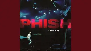 Gumbo (Live)